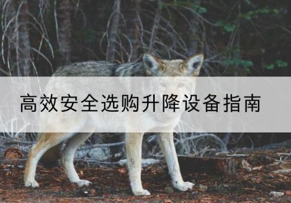 安溪升降货梯厂家推荐-*安全选购升降设备指南