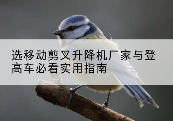 安溪电动升降机厂家-选移动剪叉升降机厂家与登高车必看实用指南