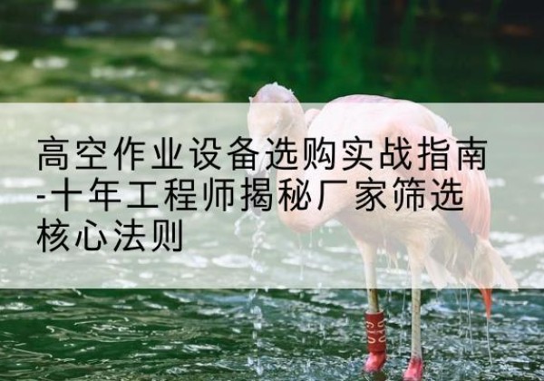 安溪剪叉式升降机厂家-高空作业设备选购实战指南-十年工程师揭秘厂家筛选核心法则